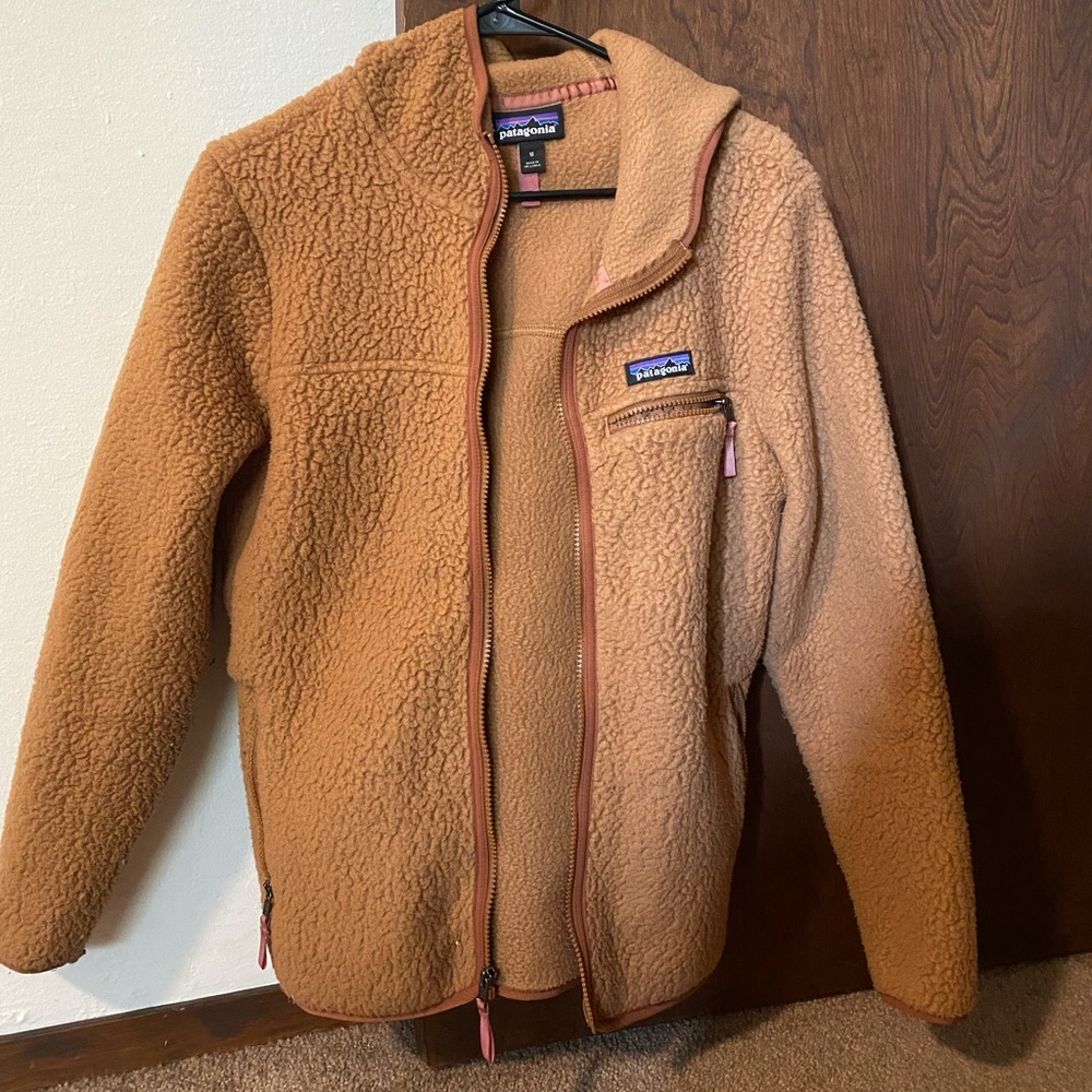 Patagonia Retro Pile Hoodie
